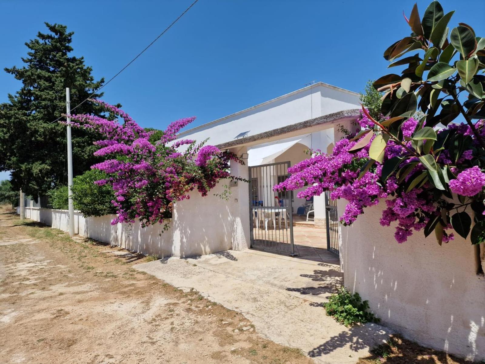 Villa Carmela A San Pietro In Bevagna Exteriör bild