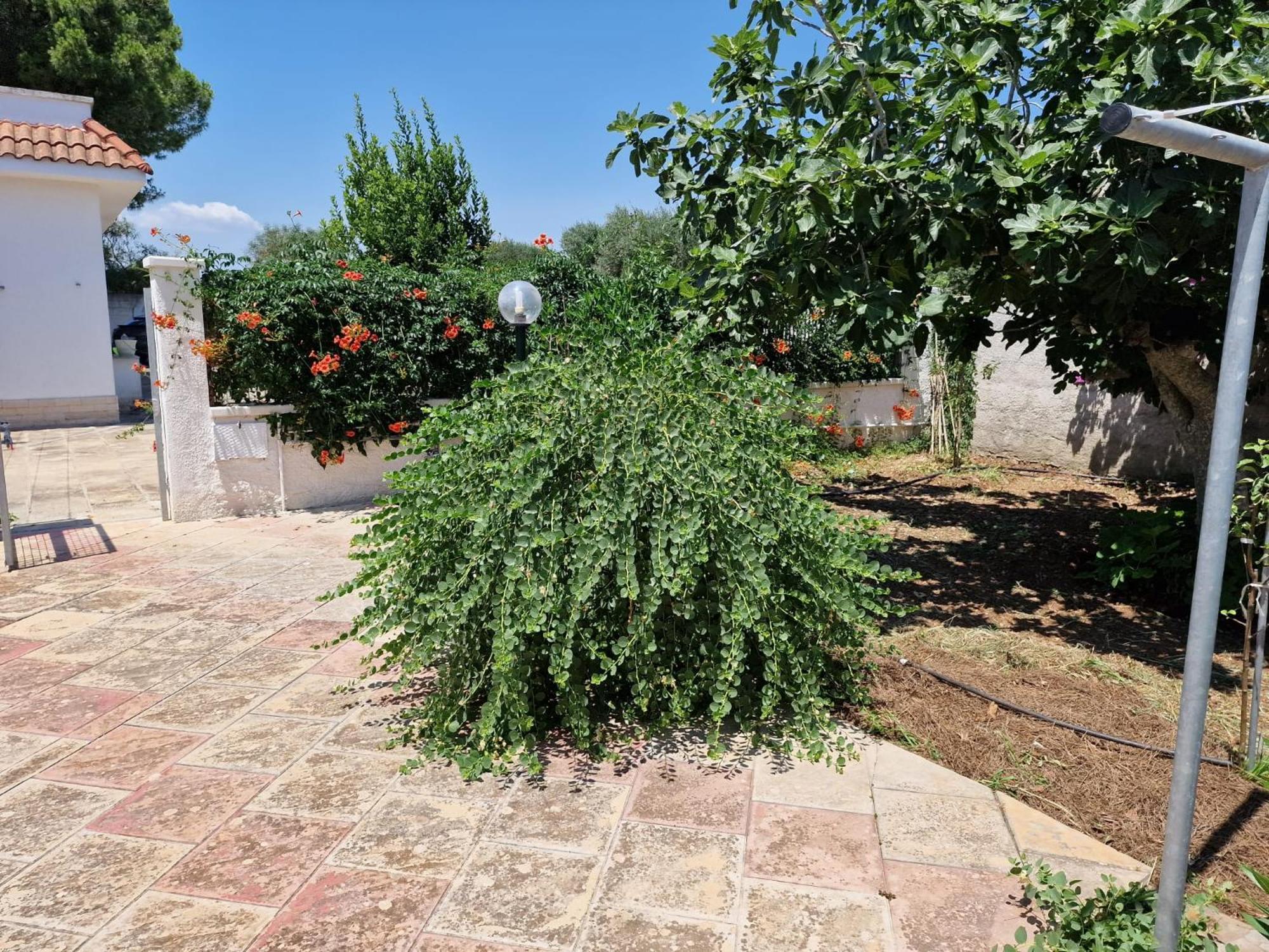 Villa Carmela A San Pietro In Bevagna Exteriör bild