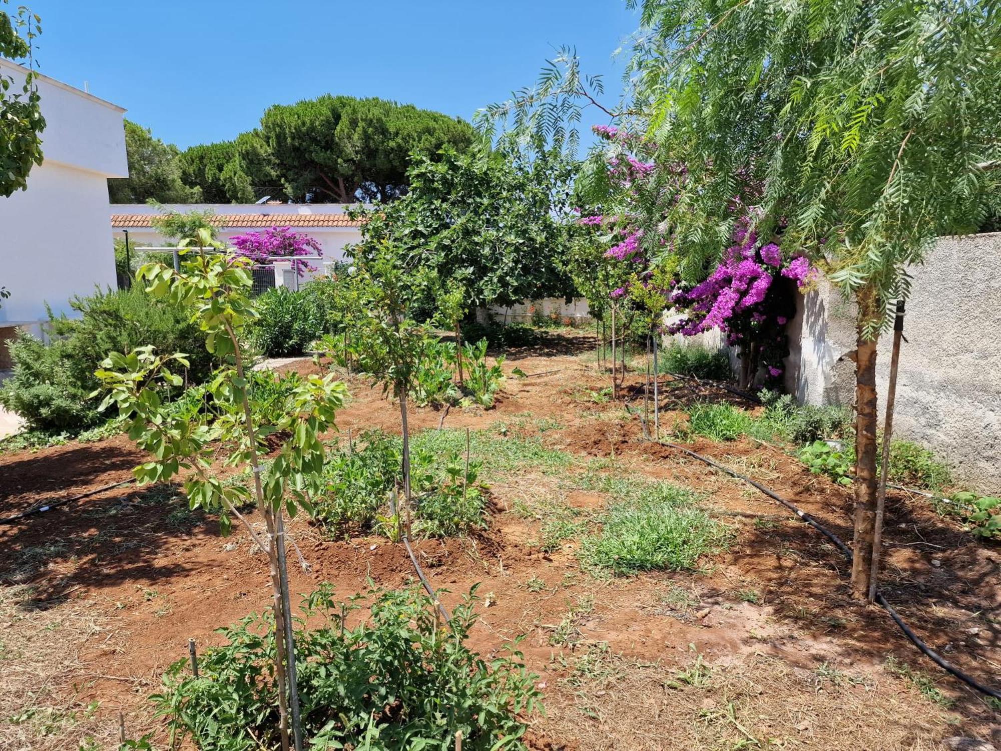 Villa Carmela A San Pietro In Bevagna Exteriör bild